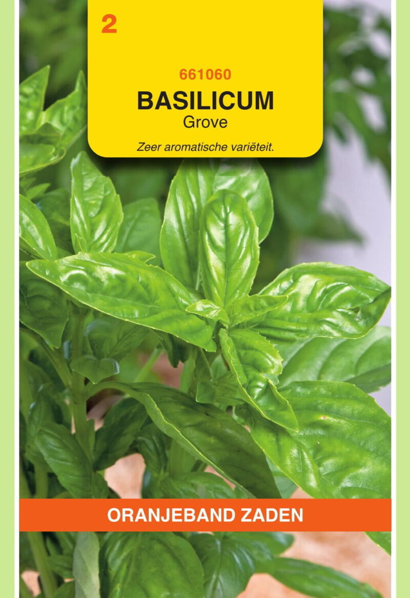 basilicum grove
