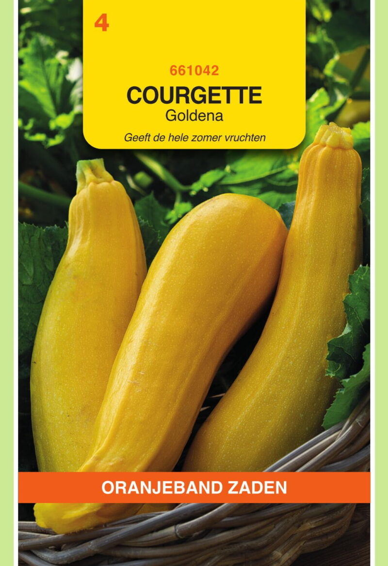 courgette goldena