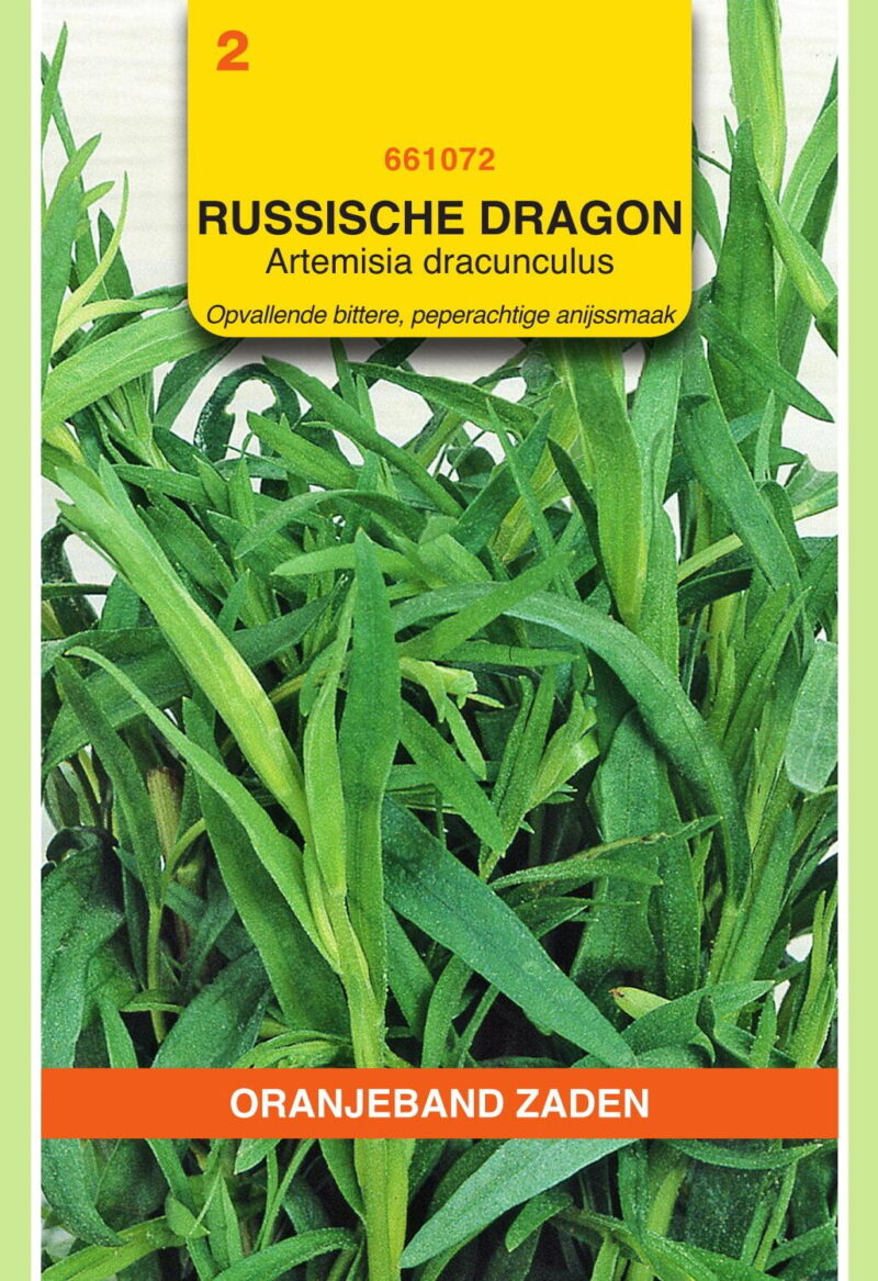 russische dragon