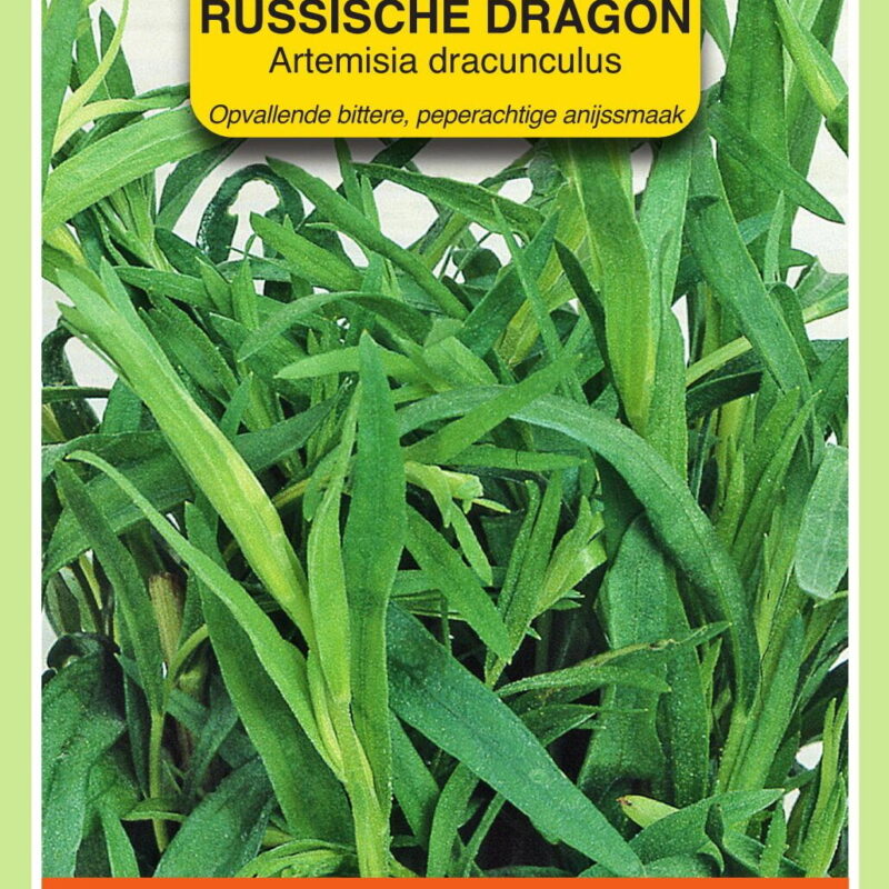 russische dragon