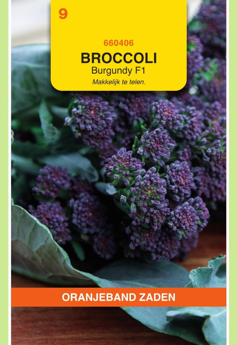 broccoli burgundy f1