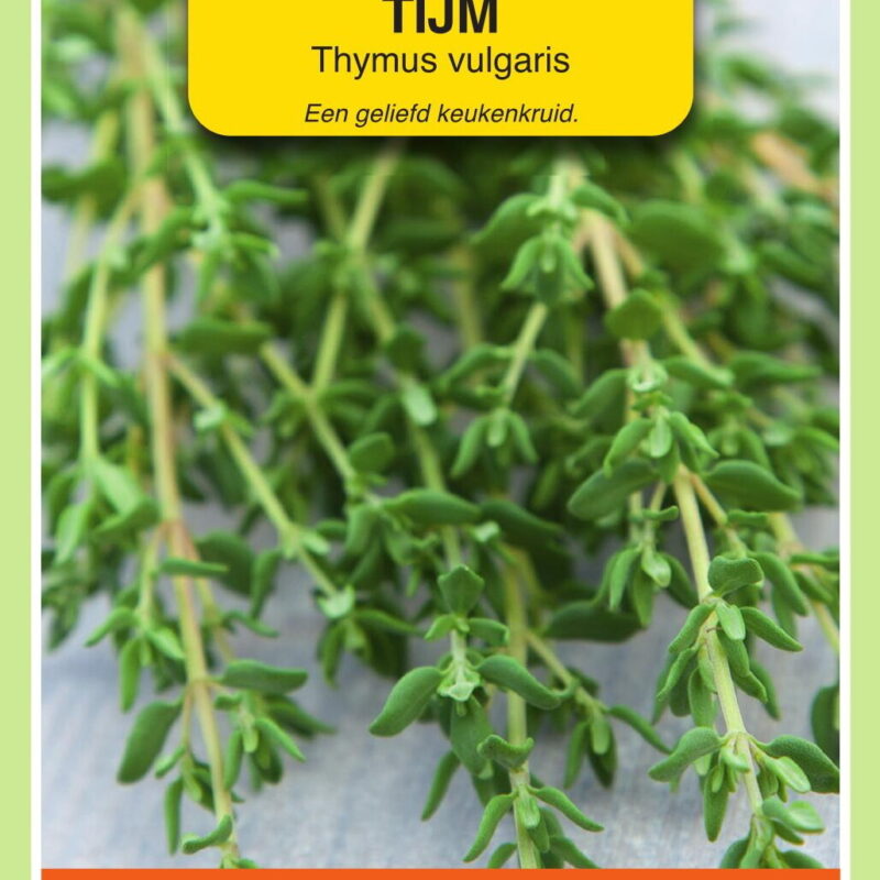 thymus vulgaris tijm