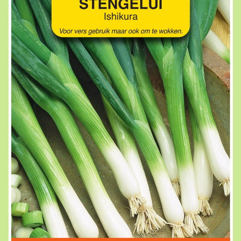 stengelui ishikura