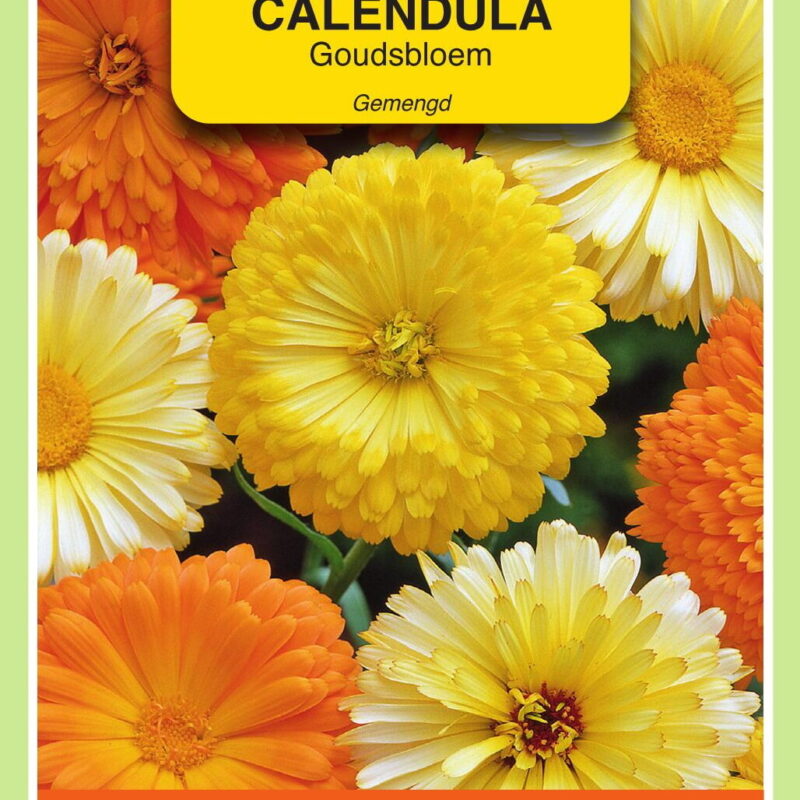 calendula goudsbloem gemengd