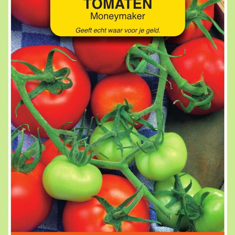 tomaten moneymaker