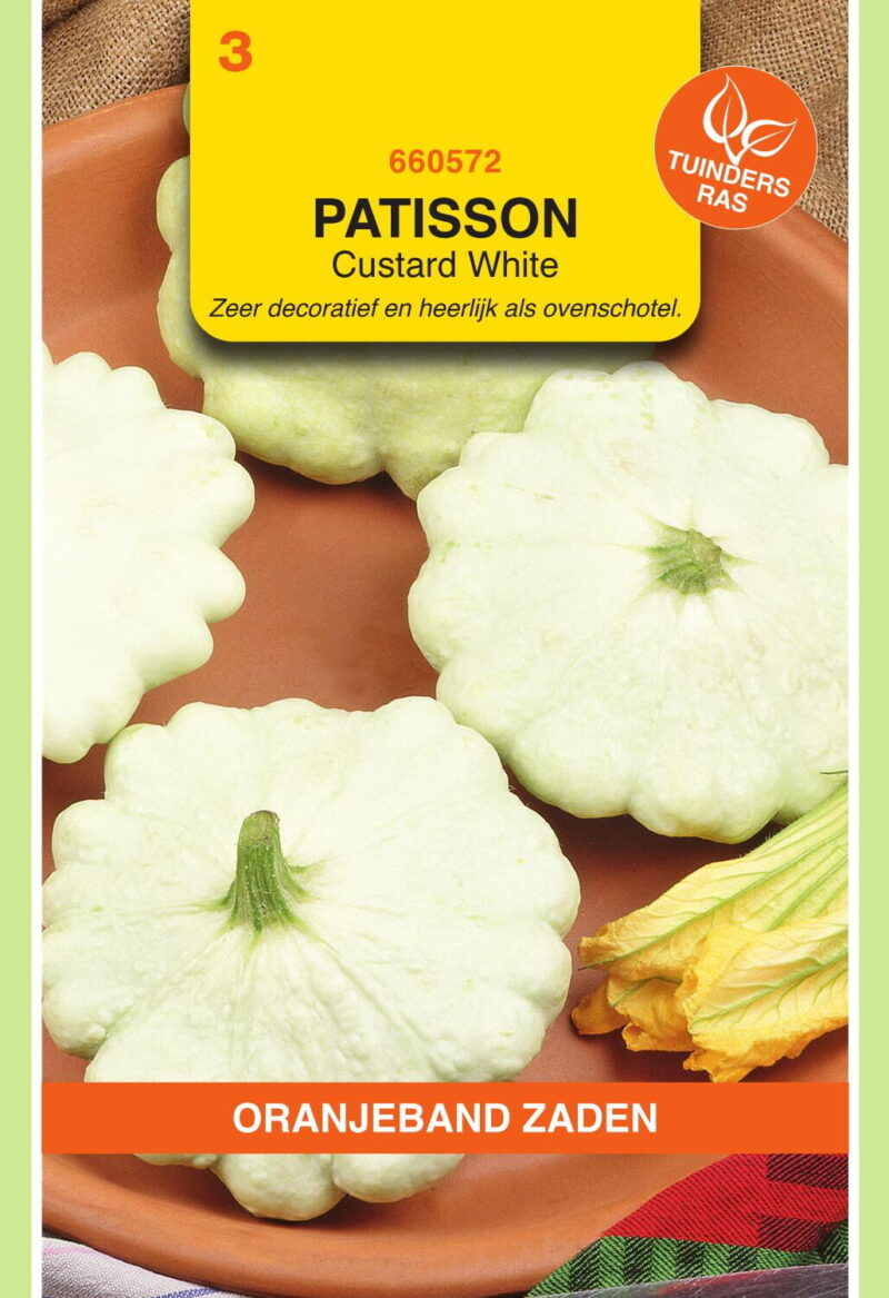 patisson custard white