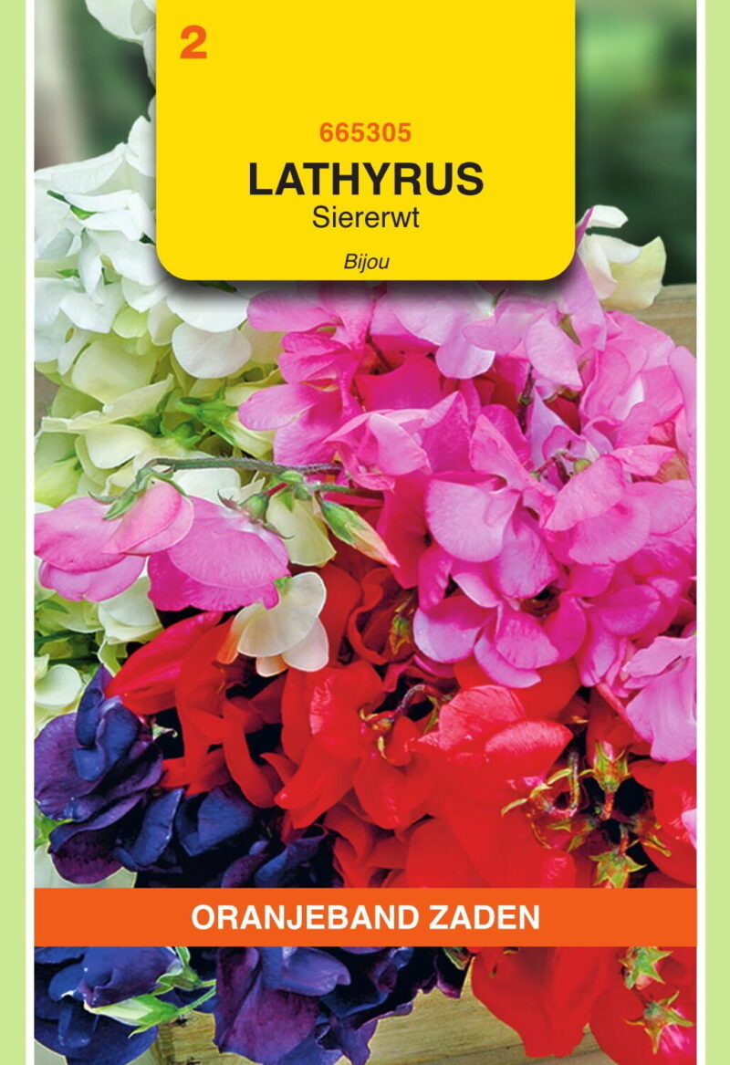 Lathyrus siererwt