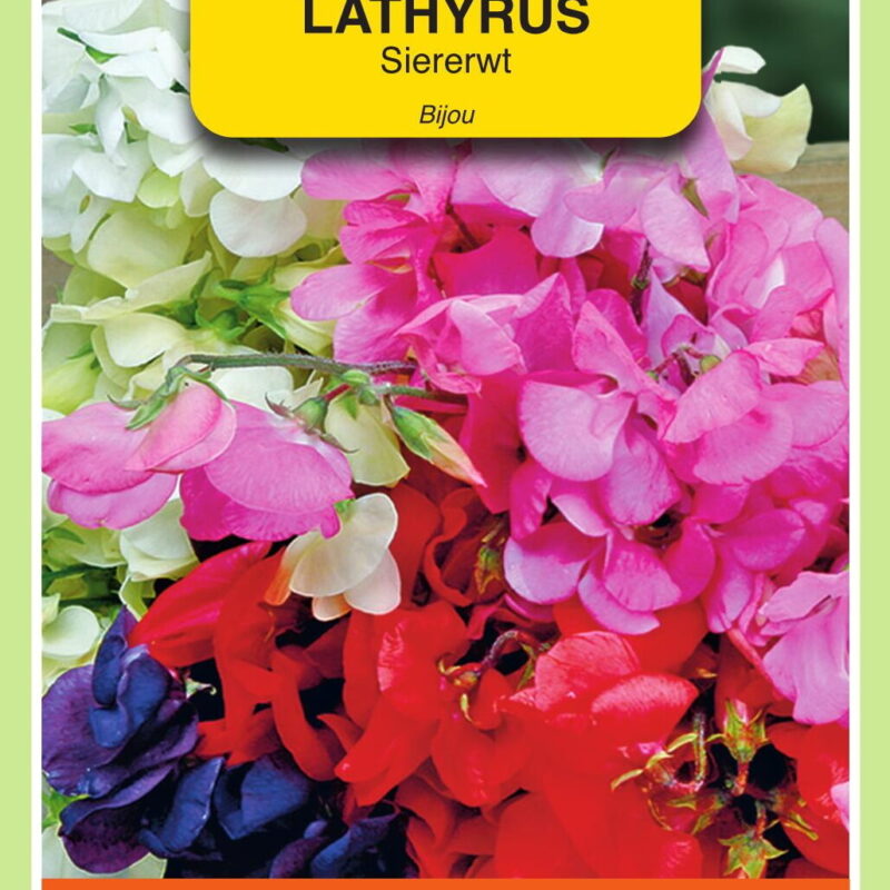 Lathyrus siererwt