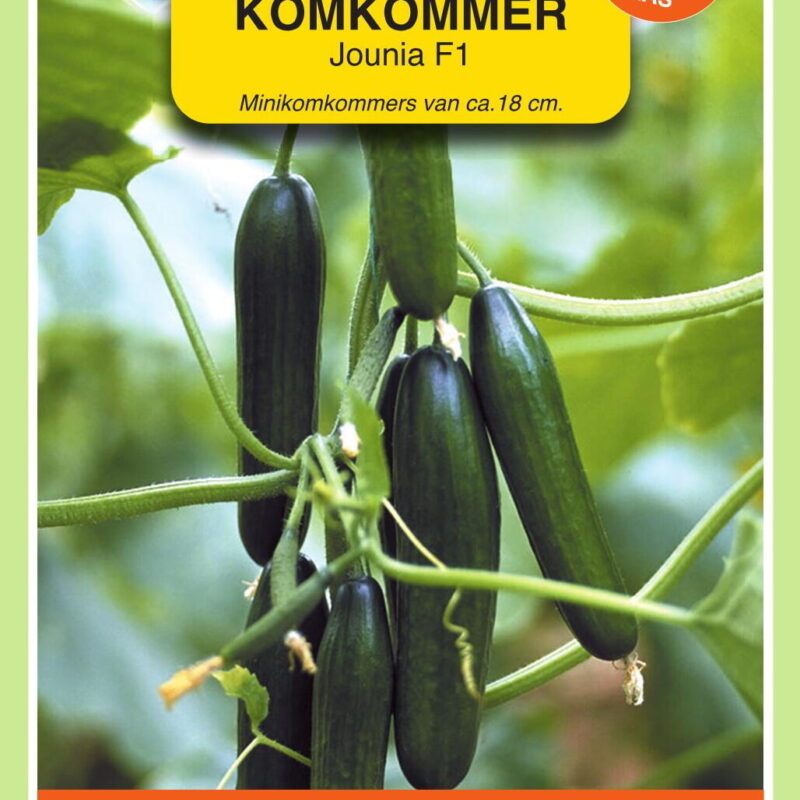 komkommer magnum f1