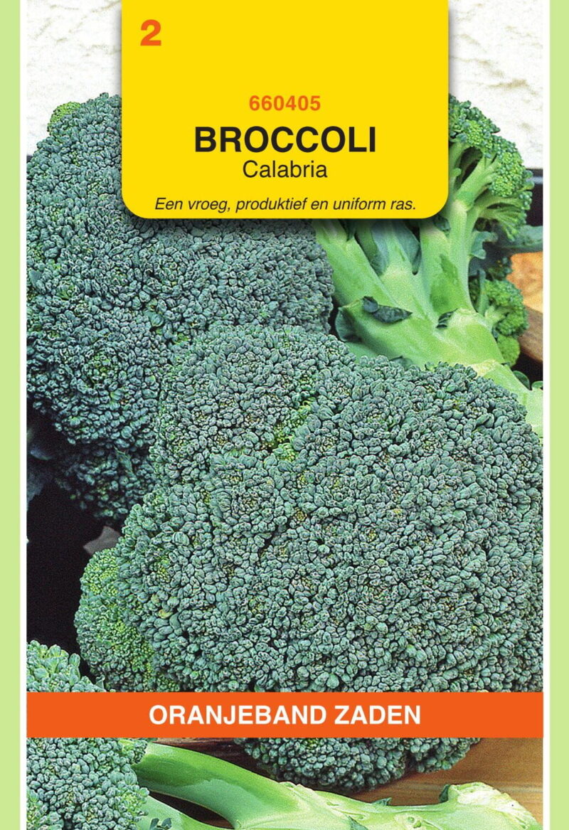 broccoli calabria