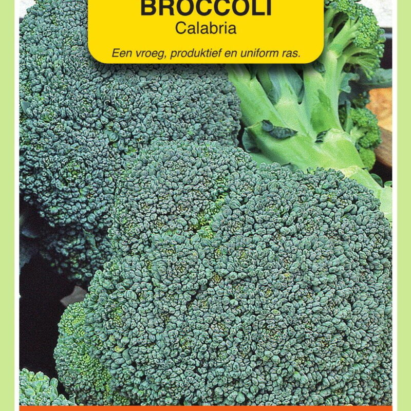 broccoli calabria
