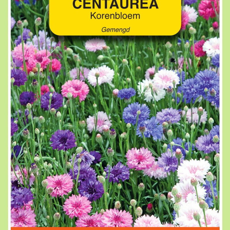 centaurea korenbloem gemengd