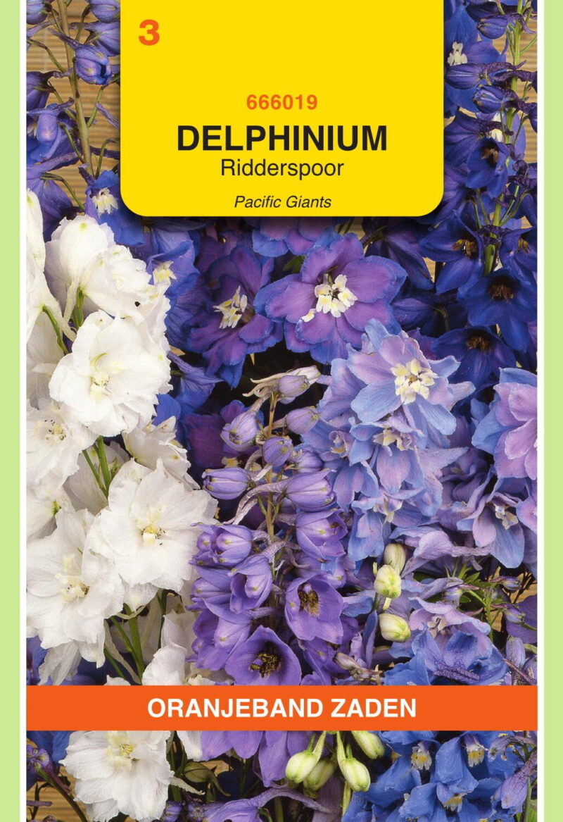 delphinium pacific giants ridderspoor