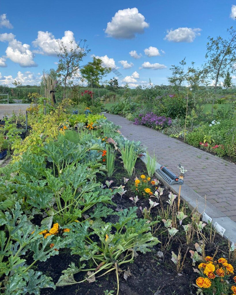 Duurzaam Tuincentrum REMY | groene keuzes voor jouw tuin